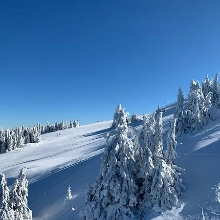 Apartment Z3 Kopaonik